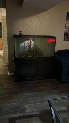 90 gallon saltwater