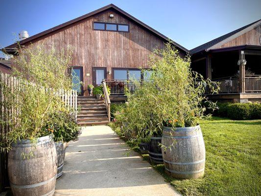 Walkway to the vineyards