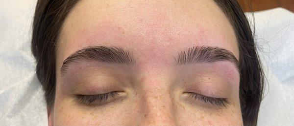 Brow Maintenance