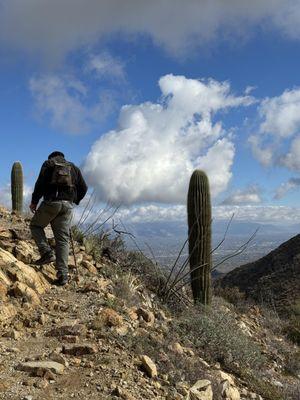 Tucson Hike