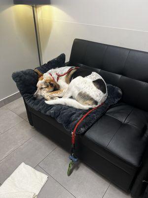 In one of the care rooms. Apparently the couch unfolds as a bed for longer visits.