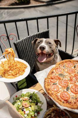 We are Pet Friendly! Come enjoy Pizza with your  dogs!