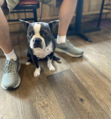 Kona the Boston loves this coffee house!