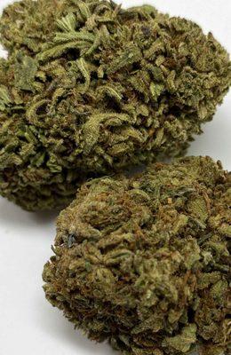 GRAPEFRUIT ***TOP SHELF*** HEMP FLOWER