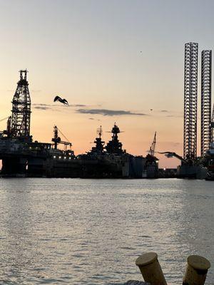 Pelican flying off Pier 2. The battleship USS Texas undergoing a $35 Million repair