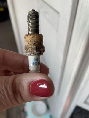 Newly replaced spark plug according to Duncan. What a joke.