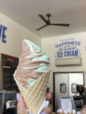 Cafe mocha & mint chip swirl in small waffle cone