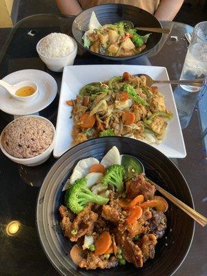 Spicy Duck, Drunken Noodles, Salmon Mango Curry