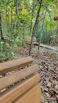 Edith L. Moore Nature Sanctuary - Houston Audubon