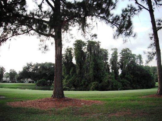 Hole 3 on Champion Course. Dogleg lake view