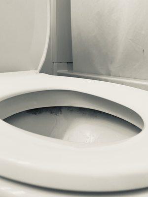 Toilet under-cleaned