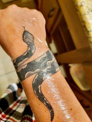 Double cover up snake. It's covering a name on the top of my wrist and the bottom of my wrist.