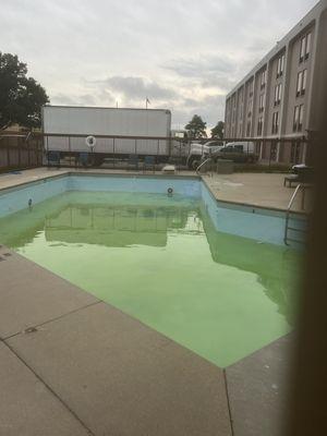 The swimming pool with trash such as a Gatorade bottle and papers, as well as nasty yellow water with green stuff floating at the bottom