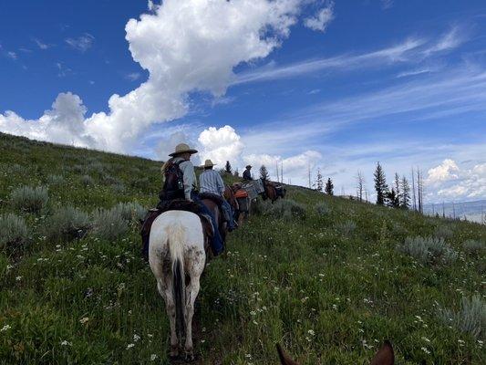 Making our way up the plateau