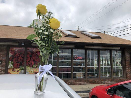 The outside of the store is so creative with flowers and lights at the front entrance, a glimpse inside green and  glorious. Buy local