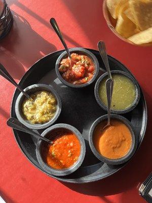 Salsa Flight