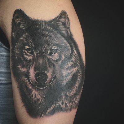 Wolf tattoo done by Oksana Weber