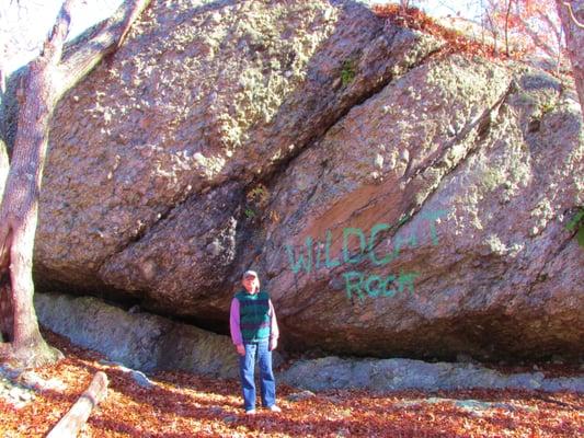 Wildcat Rock