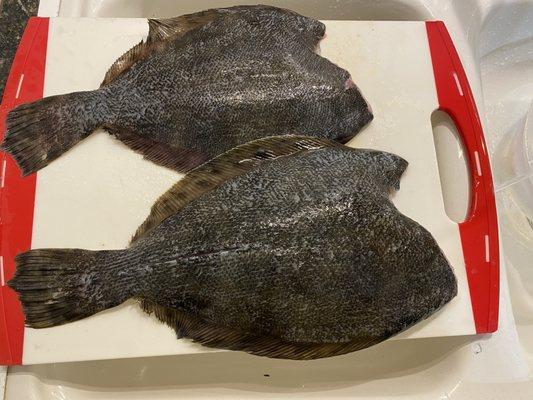 Fresh off the boat flounder. Prepared exactly as you request, just like all the other fresh catch.