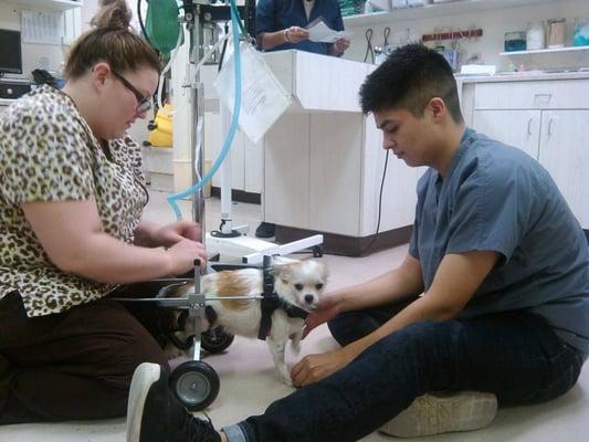 Fitting a patient with her wheels (Megan & Luis)