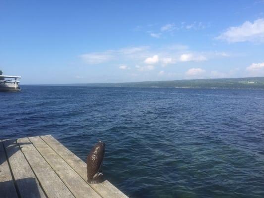 View from dock