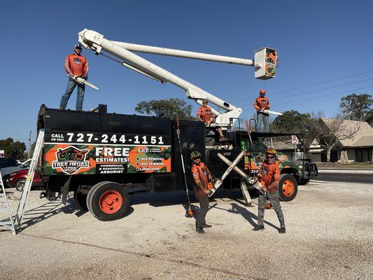 Tree Rangers Tree Service