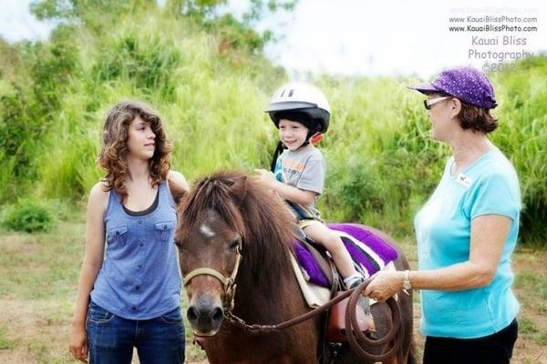 Healing Horses Kauai