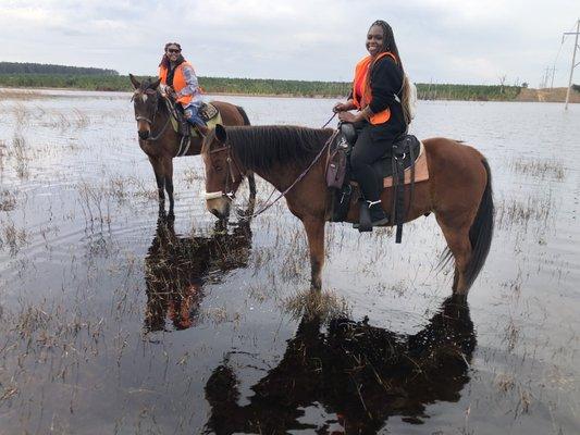 stopped to view this beautiful scenery and the horses ate some grass and drank water, in addition to treats !