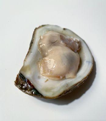 12pcs Blue Point Oysters delivered unshucked. Nice!