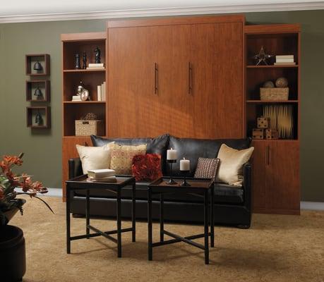 Murphy bed with sofa