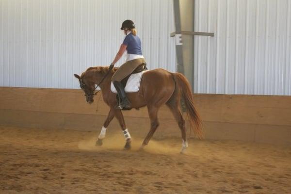 The Stables Equestrian Center