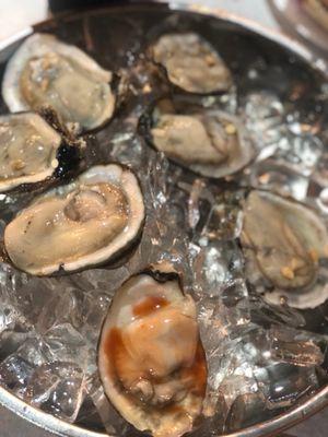 Raw Oysters