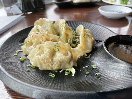 The GYOZA (Pot Stickers)