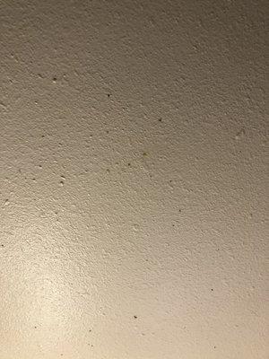 Mold on ceiling