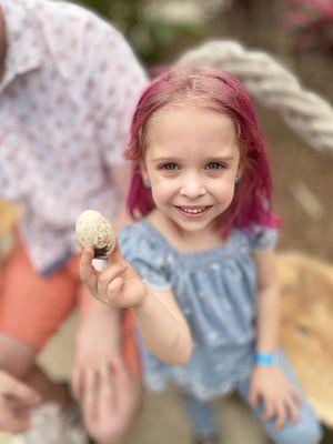 Several types of chickens run loose & lay eggs in nests. One employee let Bri hold a freshly laid egg. She learned so much.