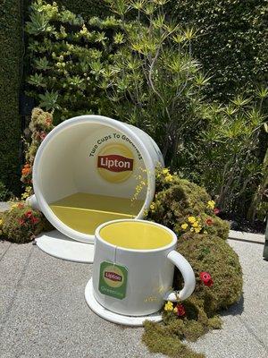 Lipton, tea party event, providing tea readings