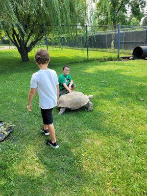 The zoo staff is amazing friendly and have made my children's day.   We got to go in with the tortoise