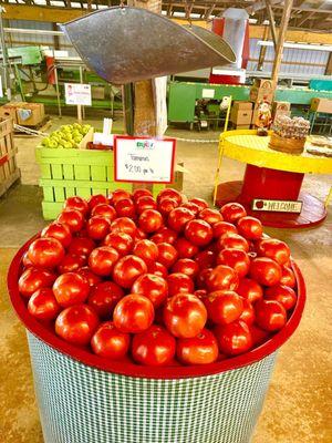 Great giant tomato's - I see a BLT in my future