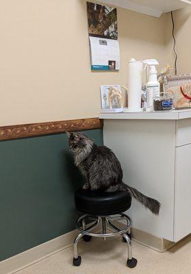 Latah Creek Animal Hospital