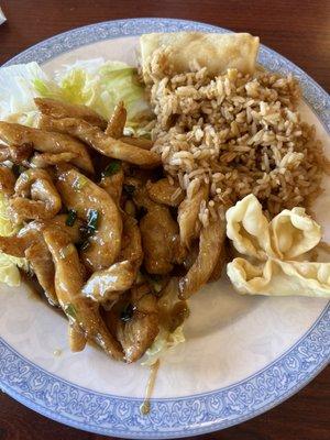 16. Teriyaki Chicken Lunch Combo