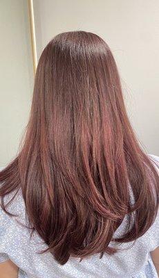 What Mike did. Reddish brown tones. I asked for purple hair. Nothing like what I asked for