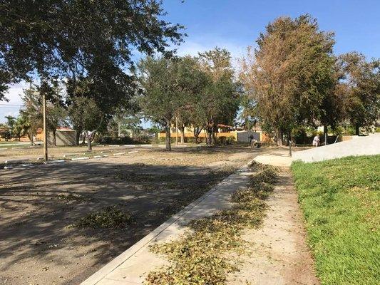 Hurricane Irma Clean Up Day