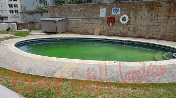 Pool hasn't been cleaned in forever