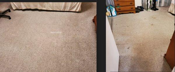 Before/After carpet cleaning