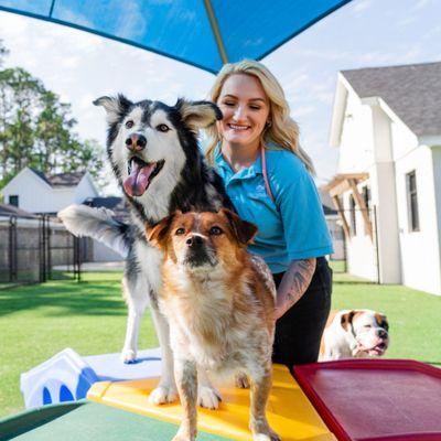 Pet Paradise Lakewood Ranch