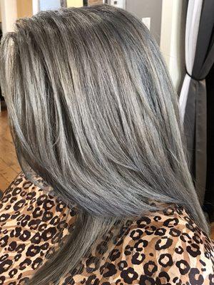 Took this lovely lady from dark brown to silver fox