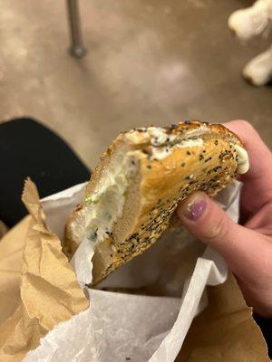 Everything Flatty Bagel