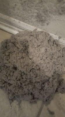 Gloves dryer vent on north side of jacksonville florida..

Dryer vent cleaning $125.00