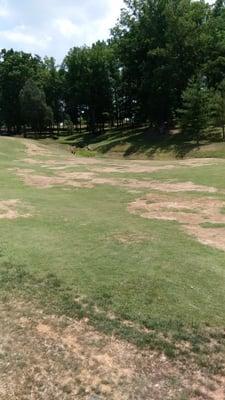 #2 fairway. I wish I had got the old cart path in the pic.  it was removed and unrepaired.