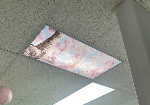 This is what I see when I'm getting treatments. Just staring on the ceiling looking at the Cherry Blossom's and music.